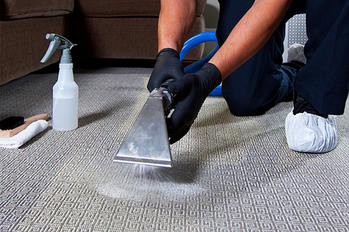 Carpet Shampooing & Cleaning Services in Gurgaon